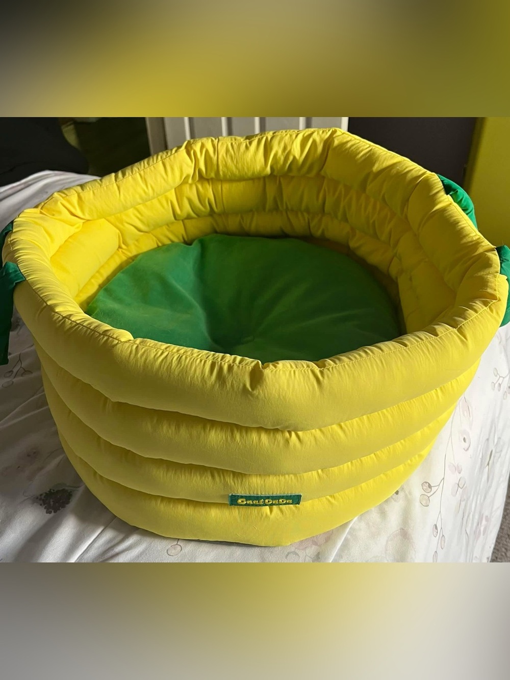 CaatDada Bright Yellow Round Pet Bed with Green Cushion